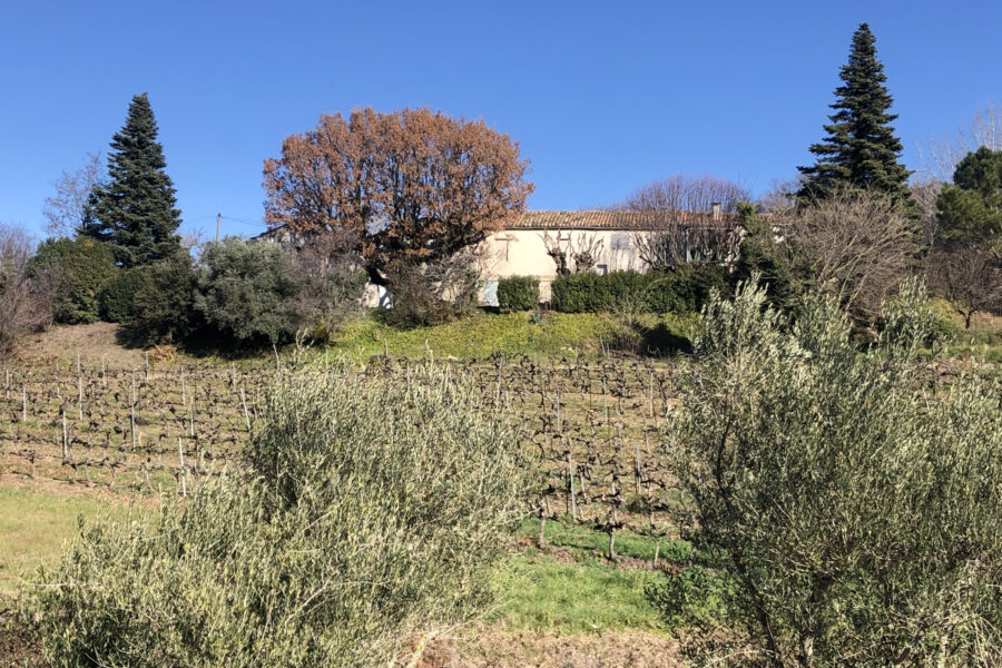 Maison à vendre à Bonnieux — Vue vignes — photo 2