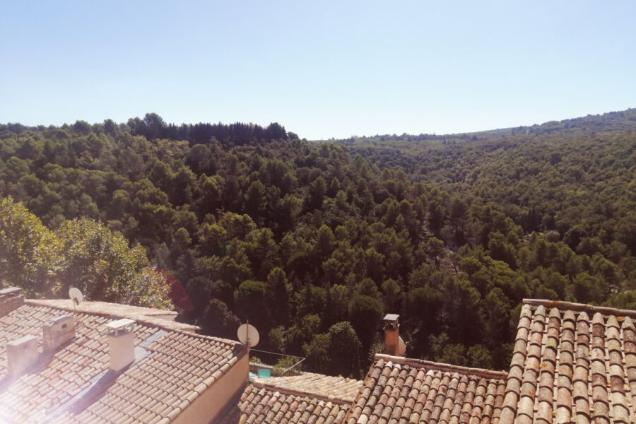 Maison à vendre à Bonnieux — Vue nature — photo 9