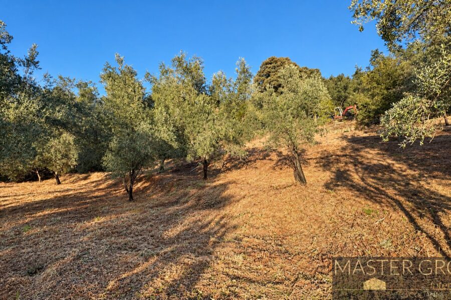 Terrain à vendre à Forciolo — Vue nature — photo 4