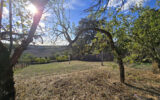Maison à vendre à Chiché — Vue nature — photo 1