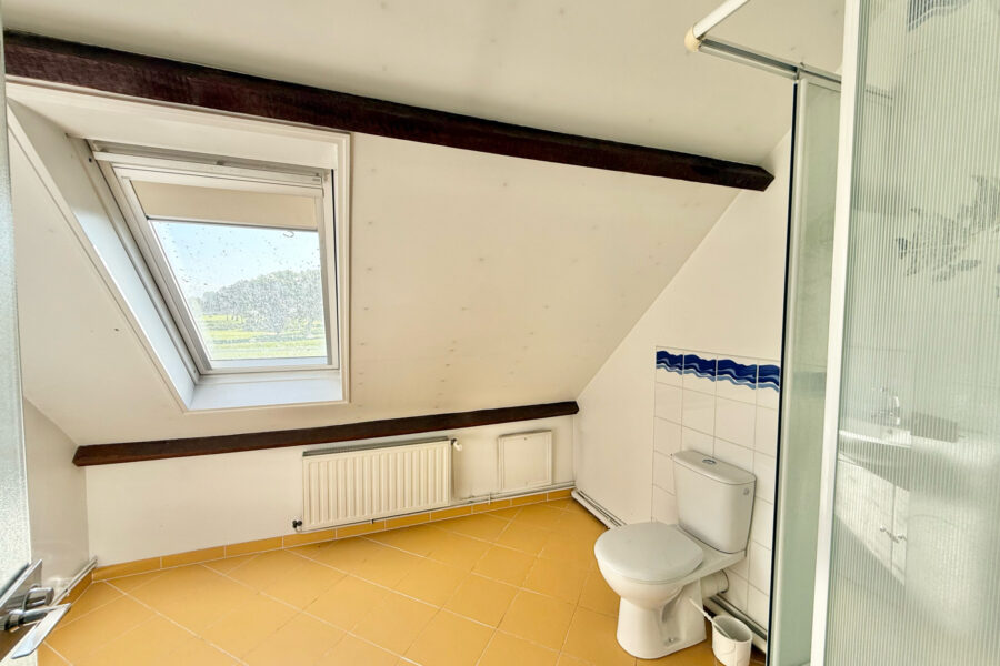Maison à vendre à Marcq-en-Barœul — Vue parc & jardin — photo 15