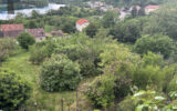 Maison à vendre à Contz-les-Bains — Vue lac — photo 2