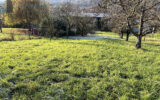Terrain à vendre à Apach — Vue dégagée — photo 1