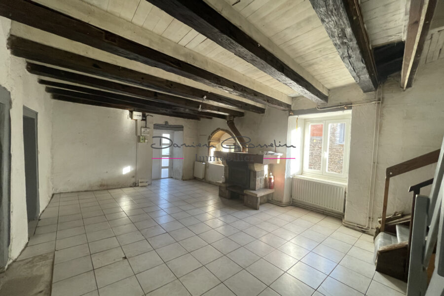 Maison à vendre à Amplepuis — Vue nature — photo 4