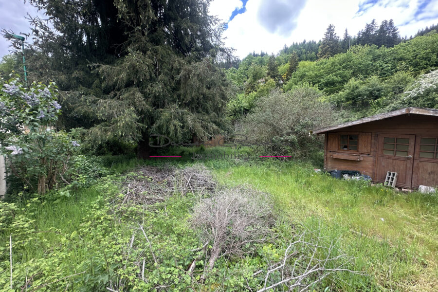 Terrain à vendre à Cours-la-Ville — Vue dégagée — photo 2