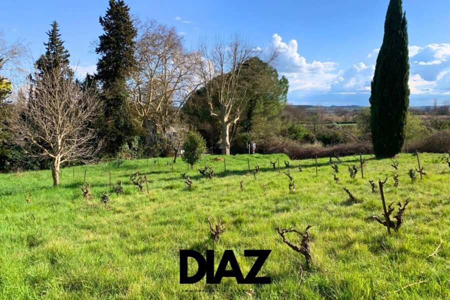 Terrain à vendre à La Rouvière — Vue nature — photo 7