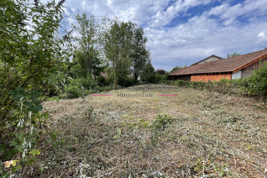 Terrain à vendre à Cours-la-Ville — Vue dégagée — photo 2