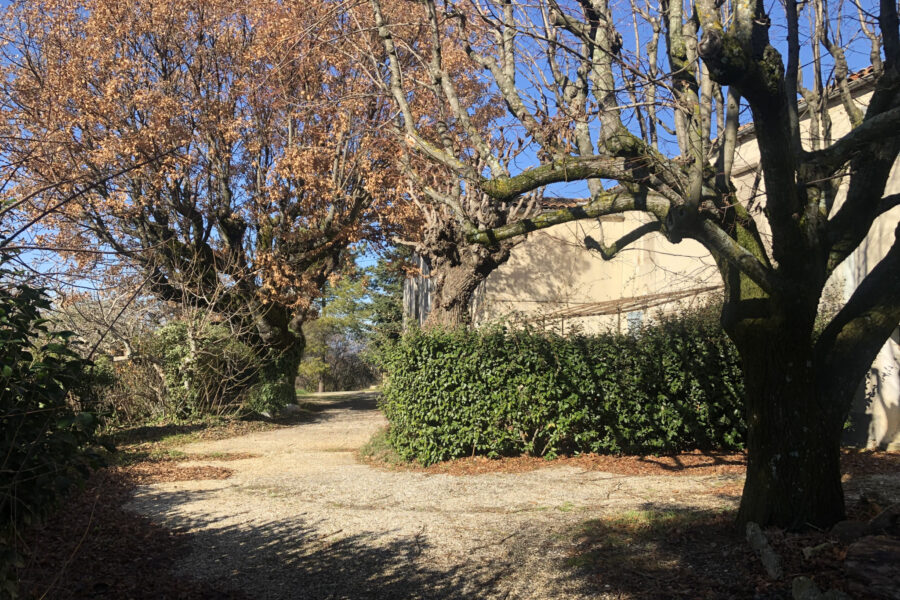 Maison à vendre à Bonnieux — Vue vignes — photo 8