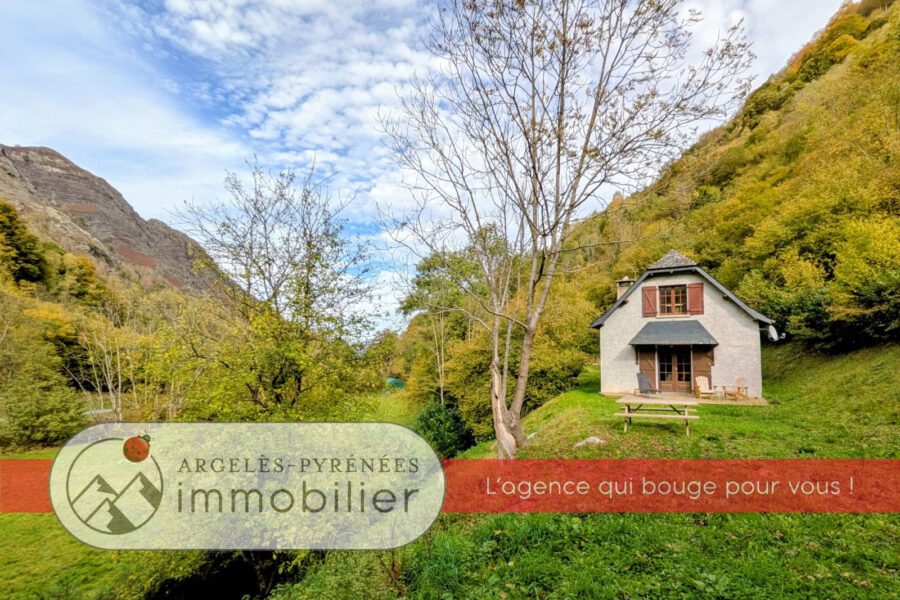 Maison à vendre à Argelès-Gazost — Vue montagne — photo 17