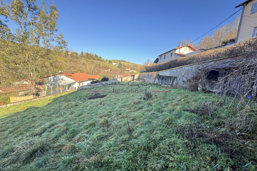 Maison à vendre à Amplepuis — Vue nature — photo 4