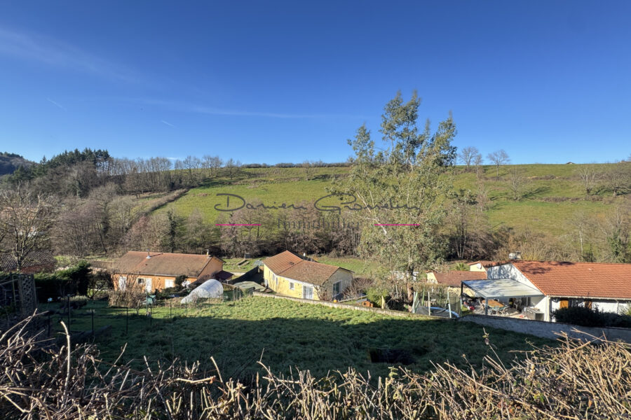Maison à vendre à Amplepuis — Vue nature — photo 1