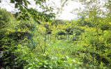 Maison à vendre à Collias — Vue nature — photo 19