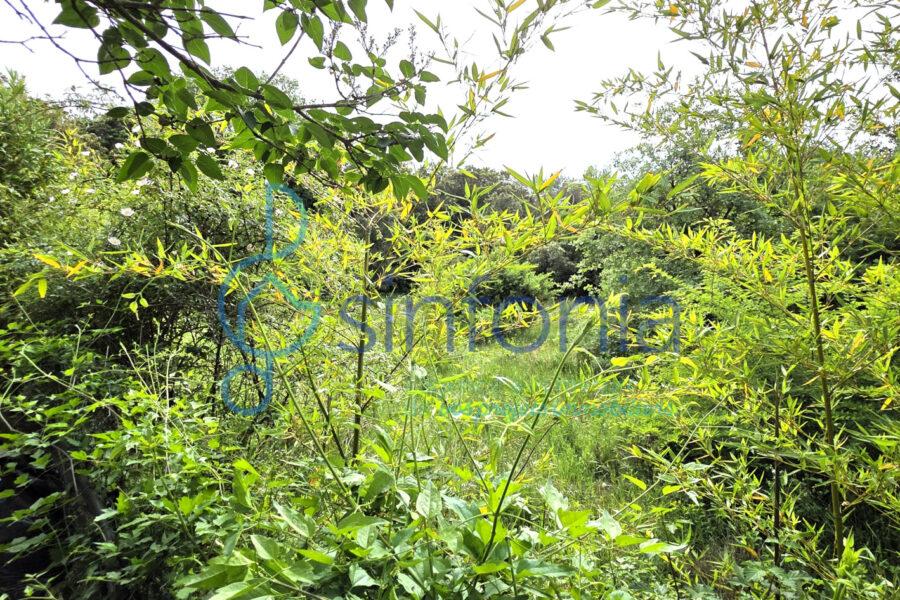 Maison à vendre à Collias — Vue nature — photo 19
