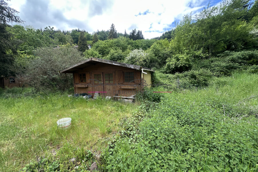 Terrain à vendre à Cours-la-Ville — Vue dégagée — photo 3
