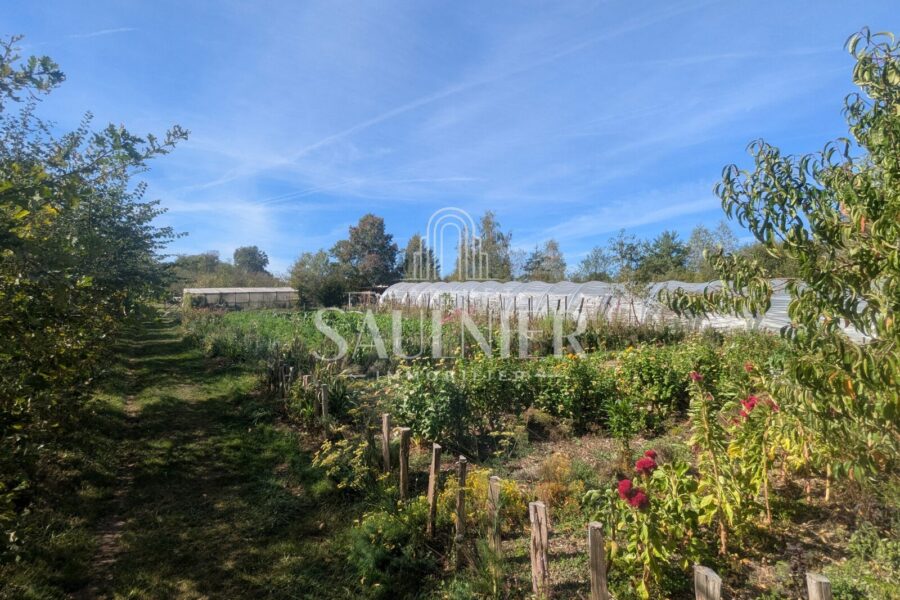Terrain à vendre à Monthou-sur-Bièvre — Vue nature — photo 1