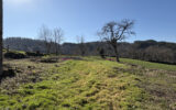 Maison à vendre à Cours-la-Ville — Vue nature — photo 17