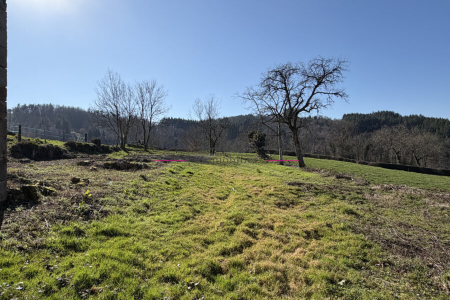 Maison à vendre à Cours-la-Ville — Vue nature — photo 17