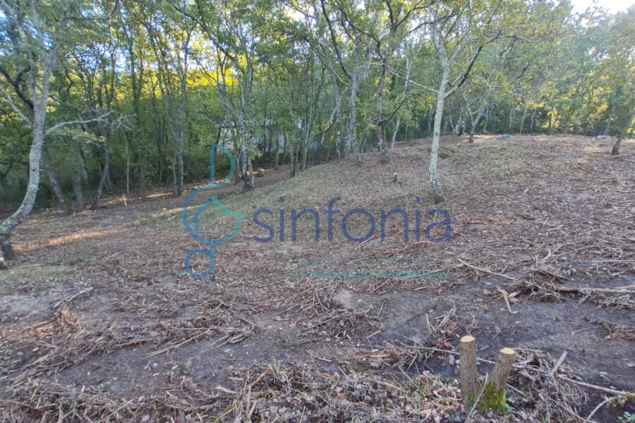 Terrain à vendre à Pougnadoresse — photo 8