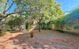 Maison à vendre à Montpellier — Vue parc & jardin — photo 16