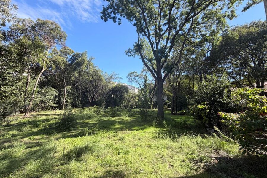 Maison à vendre à Montpellier — Vue parc & jardin — photo 1
